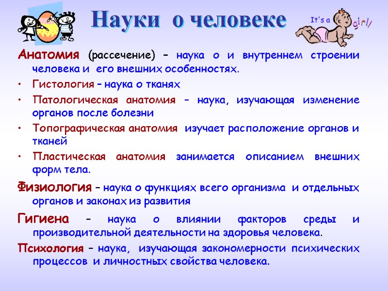 Науки  о человеке Анатомия (рассечение) – наука о и внутреннем строении человека и